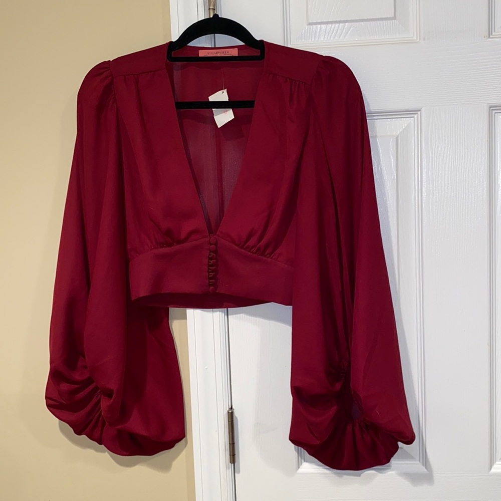 Deep V Neck Burgundy top